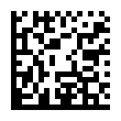 GS1 Data Matrix encodant (01) GTIN 09501234543213, (17) péremption 261231, (10) lot BF07.